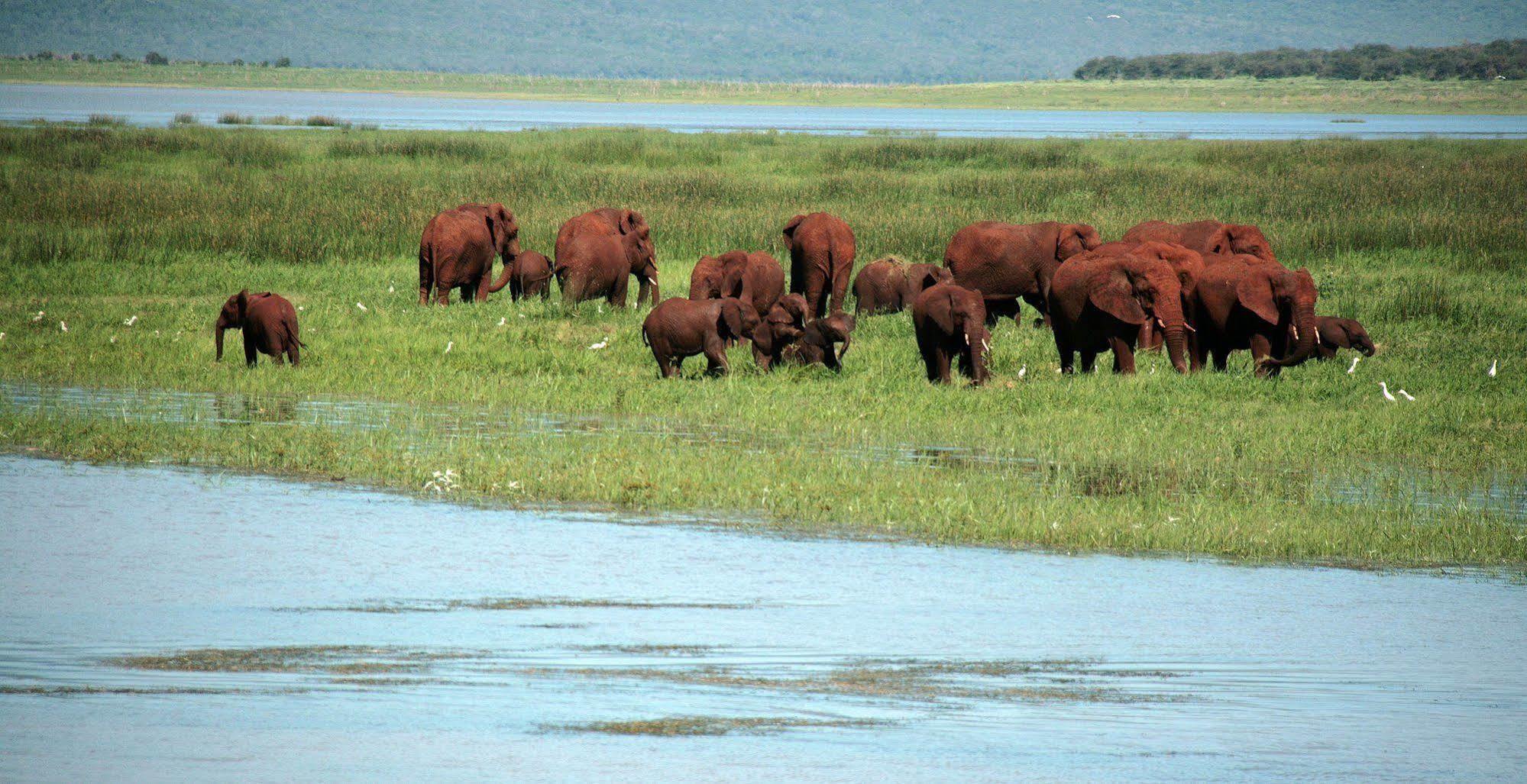 Shayamoya Tiger Fishing And Game Lodge Pongola Extérieur photo