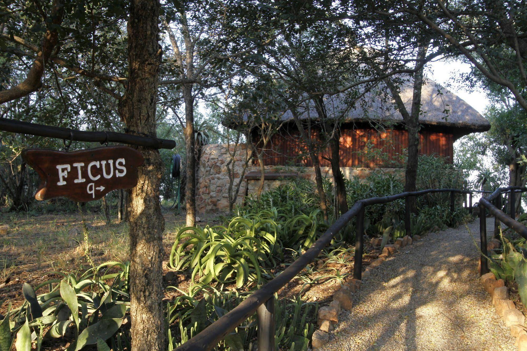 Shayamoya Tiger Fishing And Game Lodge Pongola Extérieur photo